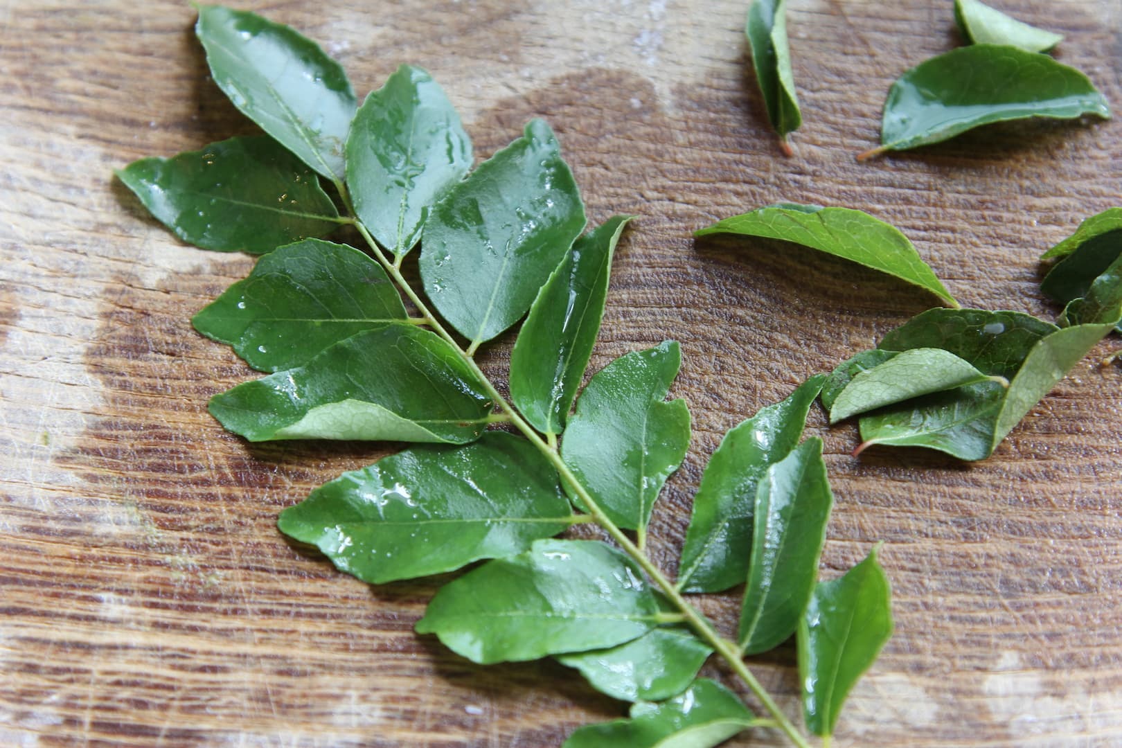 Corn Polenta ii — 11