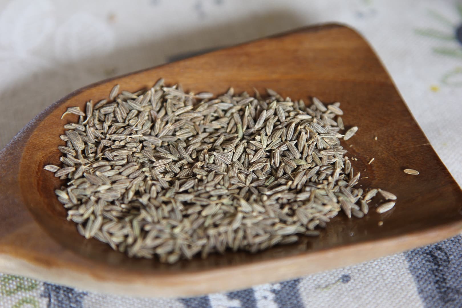 Cumin Spice Blend — Aromatic Foundation for Conscious Cooking — 5