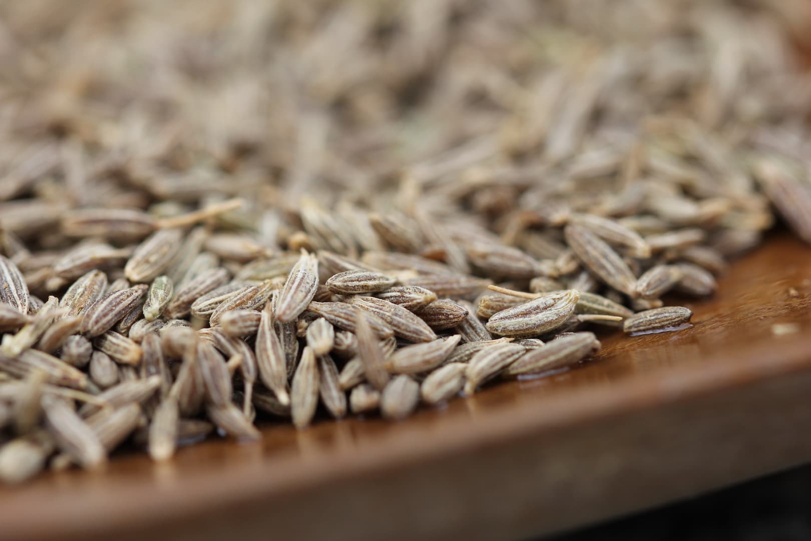 Cumin Spice Blend — Aromatic Foundation for Conscious Cooking — 4