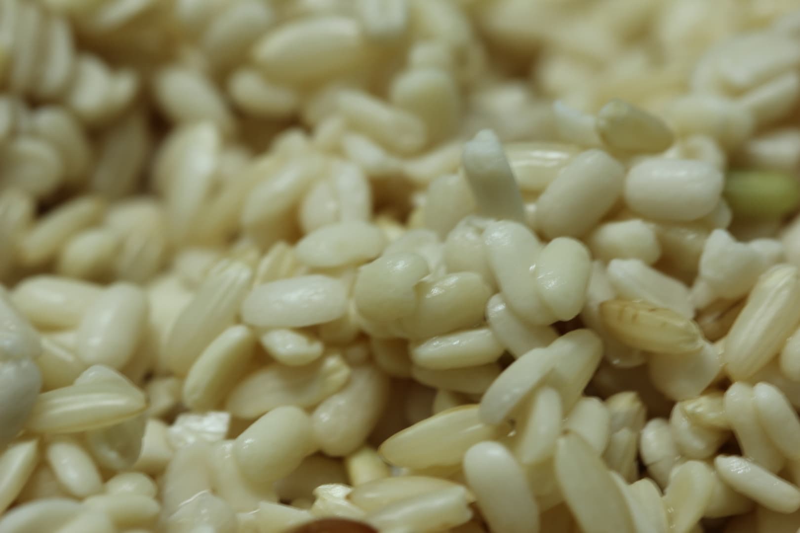 Bacalhau à Gomes de Sá (Vegan Portuguese Codfish) — 11