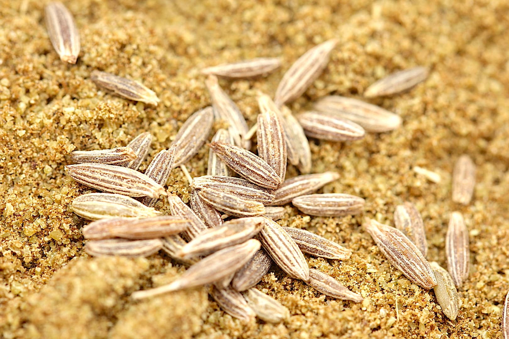 Cumin Flaxseed Gomasio — 6