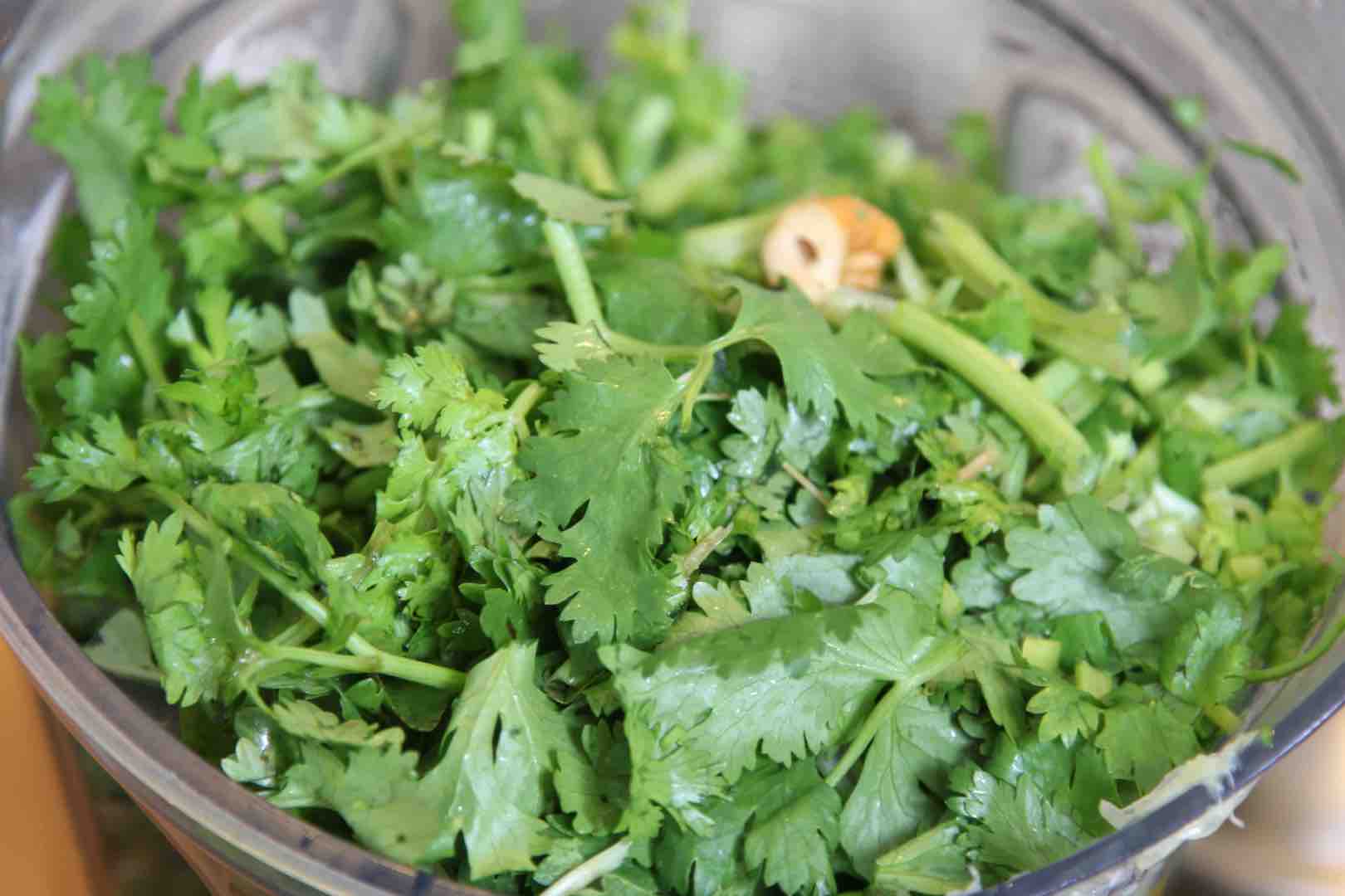 7. pesto coriander blender