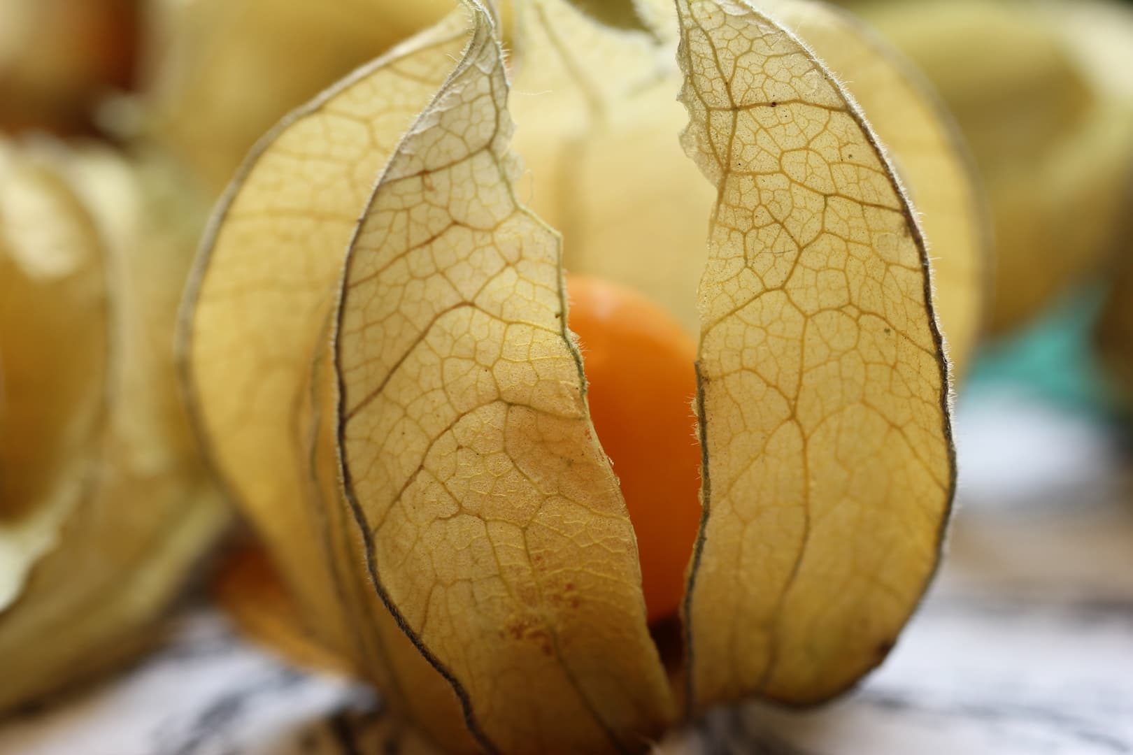 Ashwagandha 15