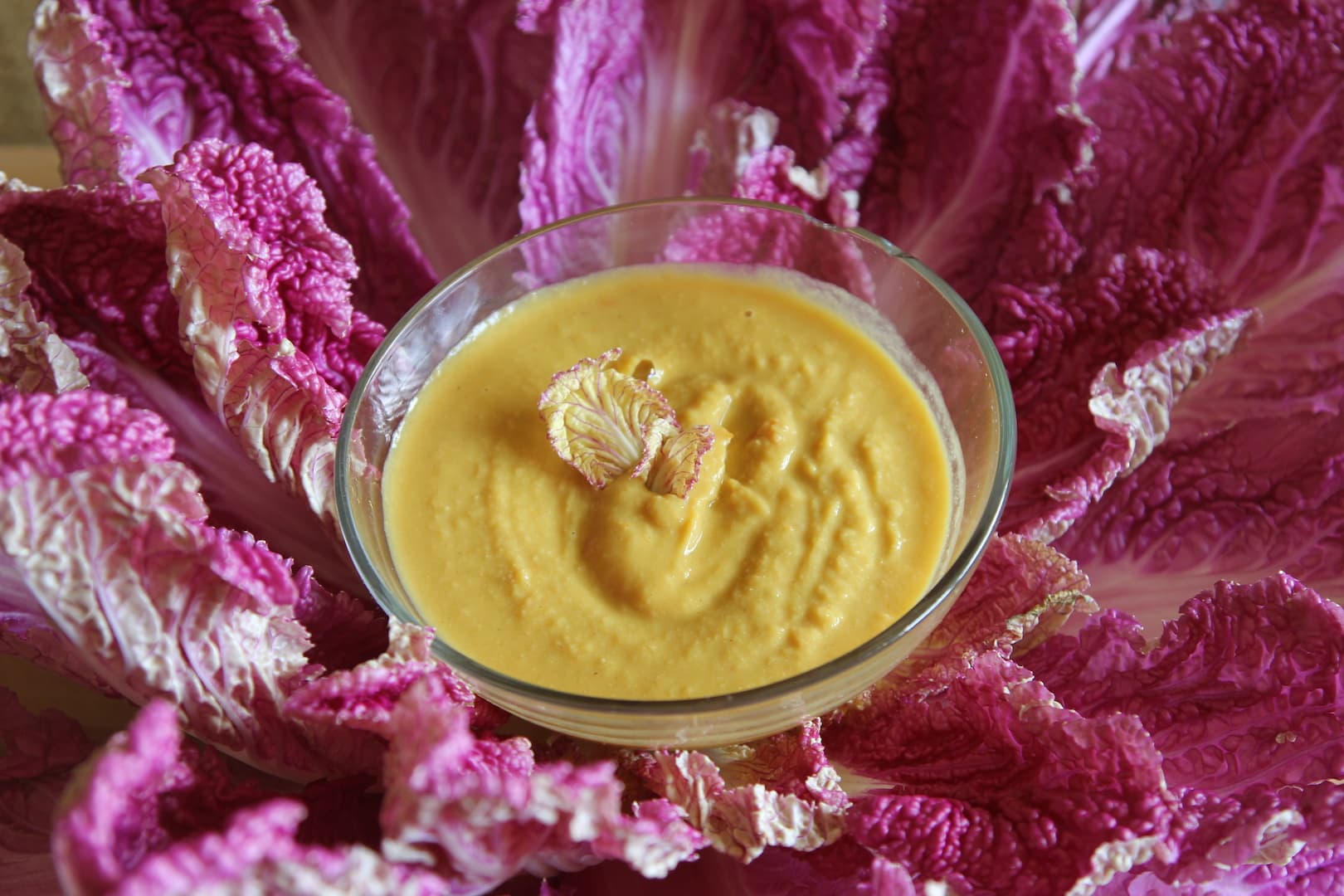 Chinese Rose cabbage 9 1