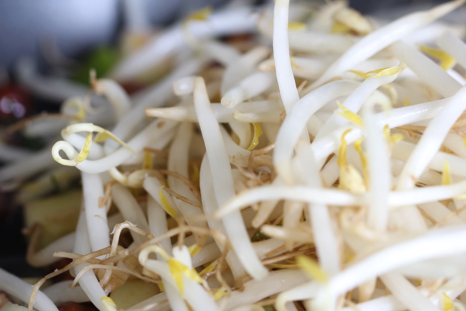 Hazelnut Sprouts Coco salad 2