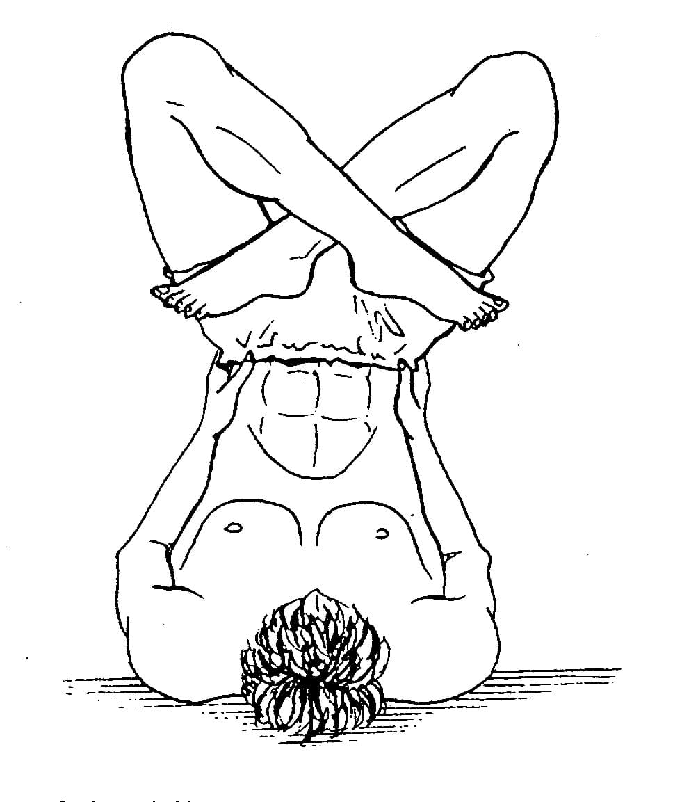 Shoulder Stand b Sarvaungasana b