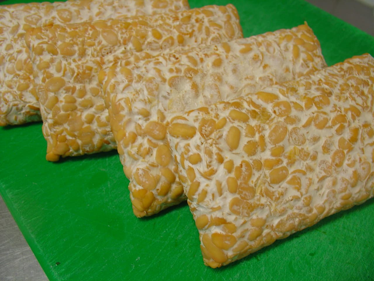 Tempeh frozen 1
