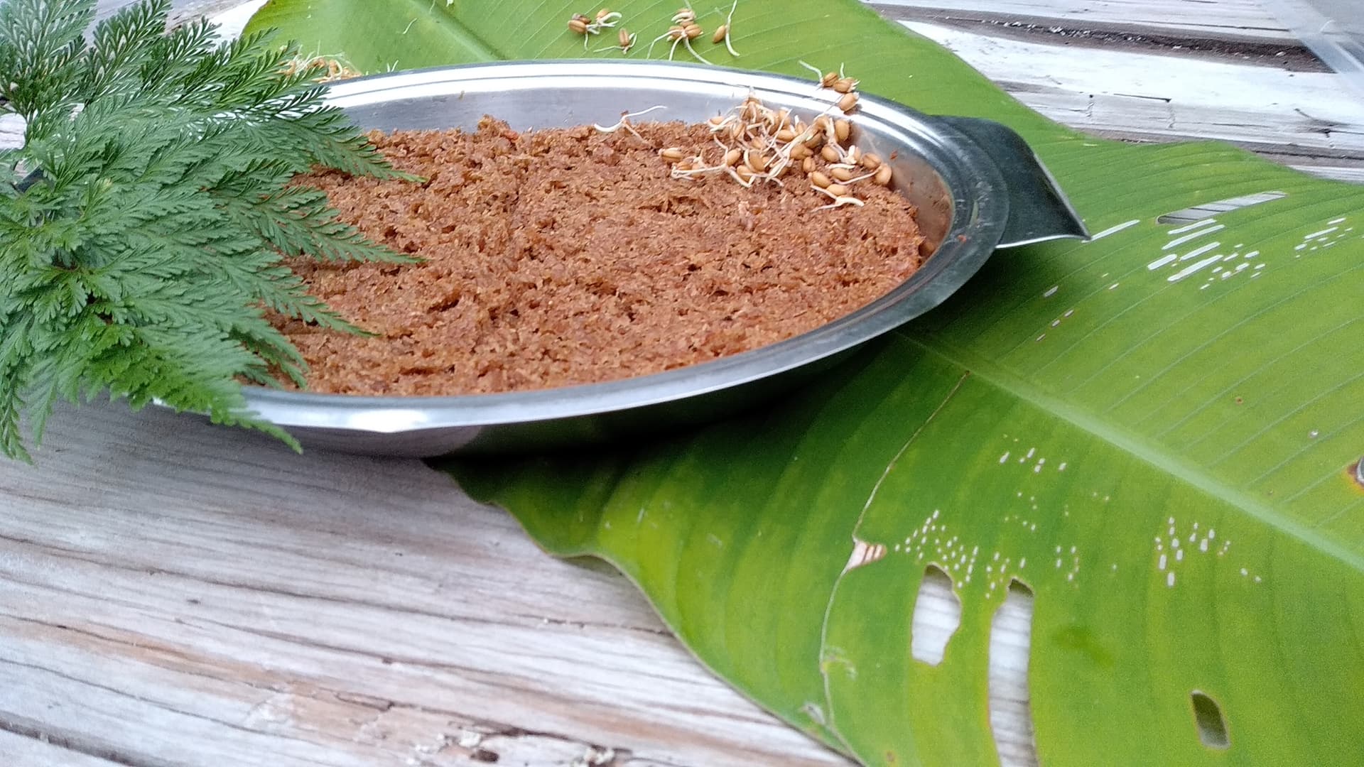 Wheat sproutbread 12