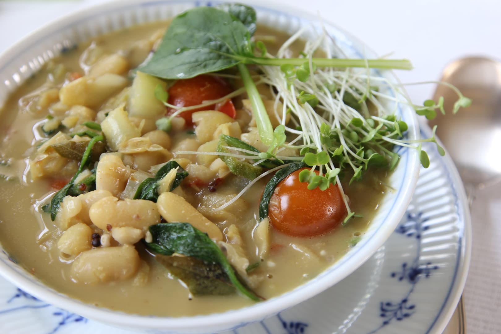 White bean soup 18