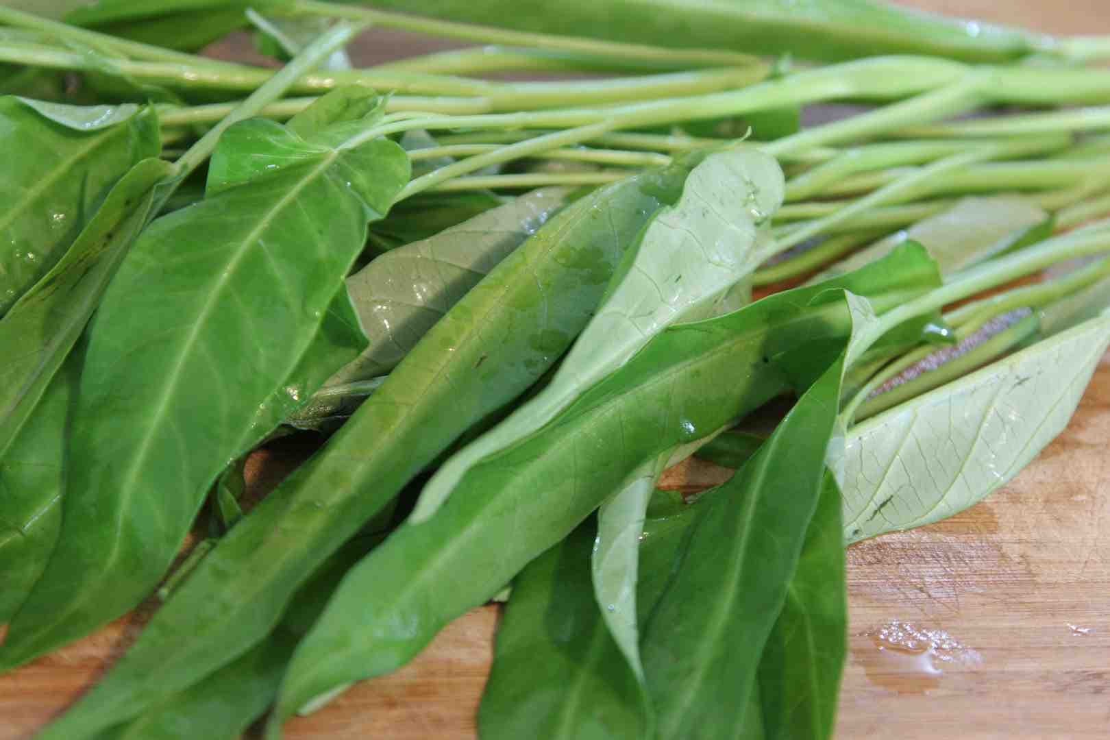 kangknog leaves whole org