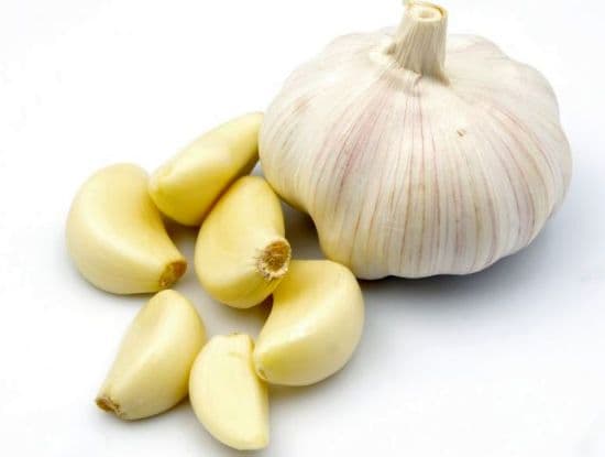 toxicgarlic