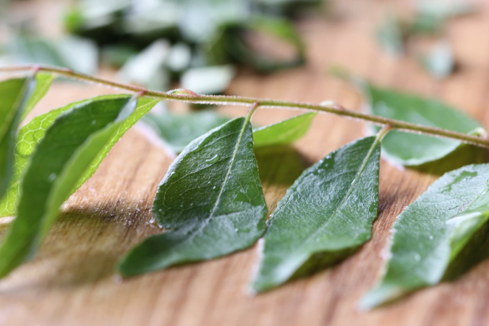 Coconut Chutney with Chana Gram Dal — 12