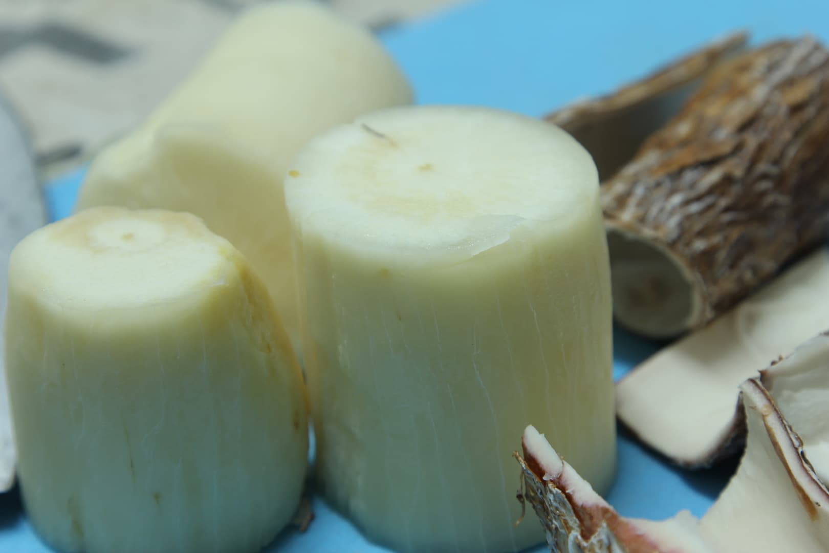 Bacalhau Com Nata (Vegetarian Codfish with Nettle) — 21