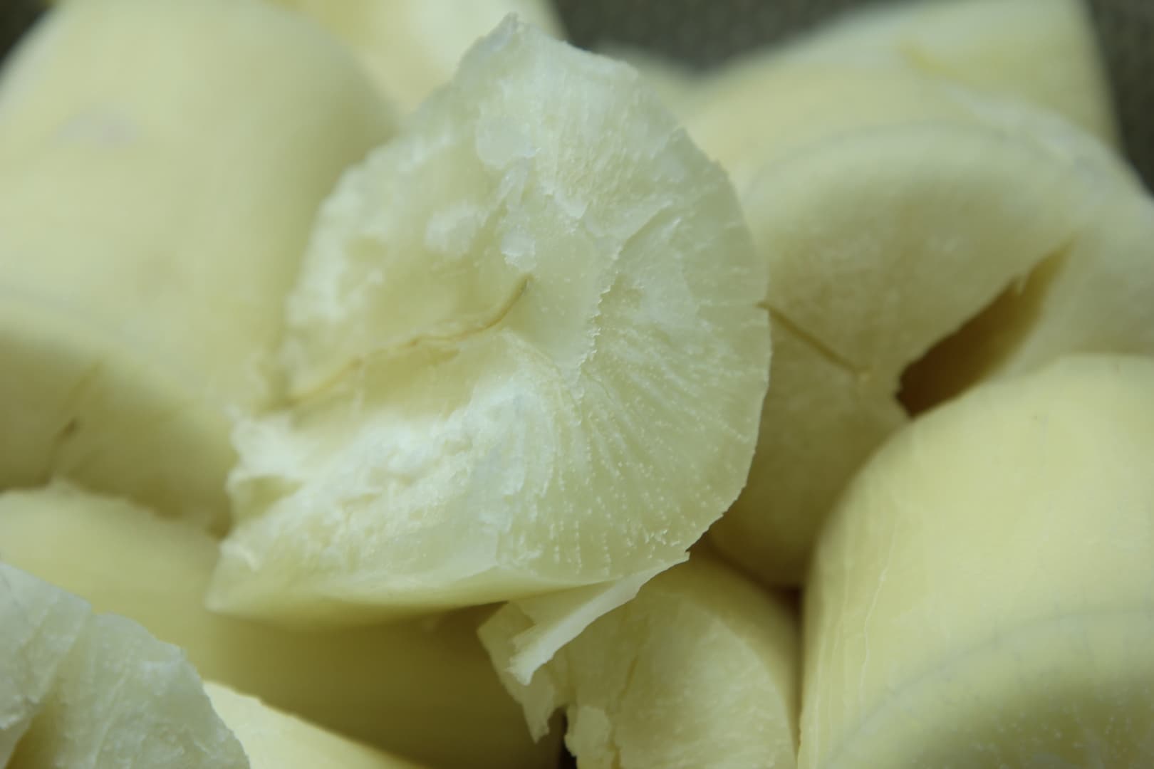 Bacalhau Com Nata (Vegetarian Codfish with Nettle) — 20
