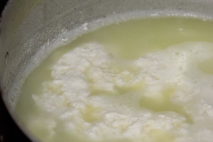 Paneer Casero — 2
