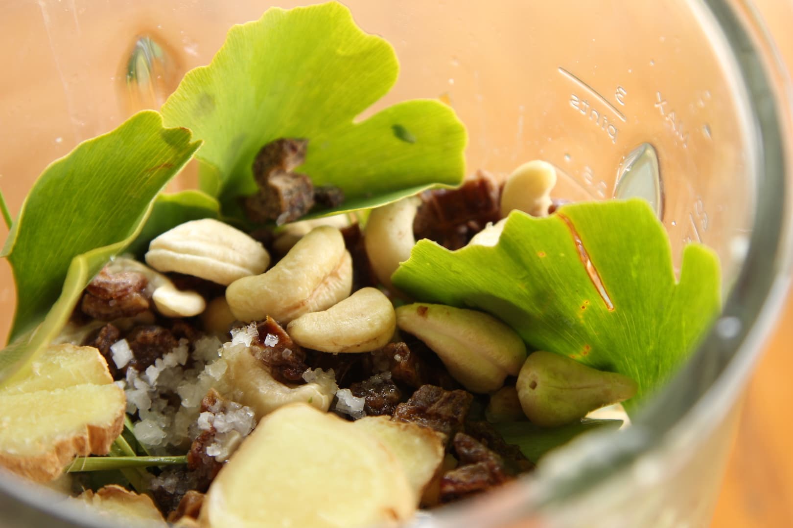 Ginkgo Biloba Pesto — 7