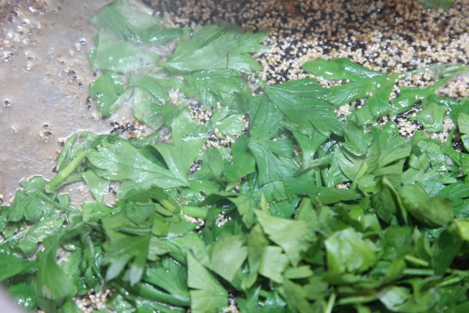 Farofa Especial — 5