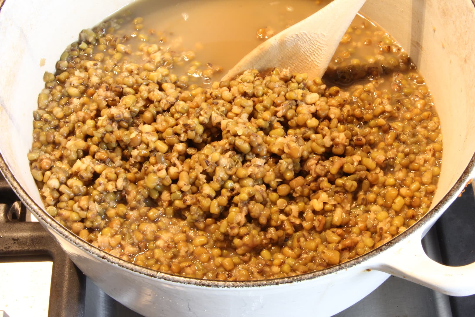 Mung dal kidchuri 2 1