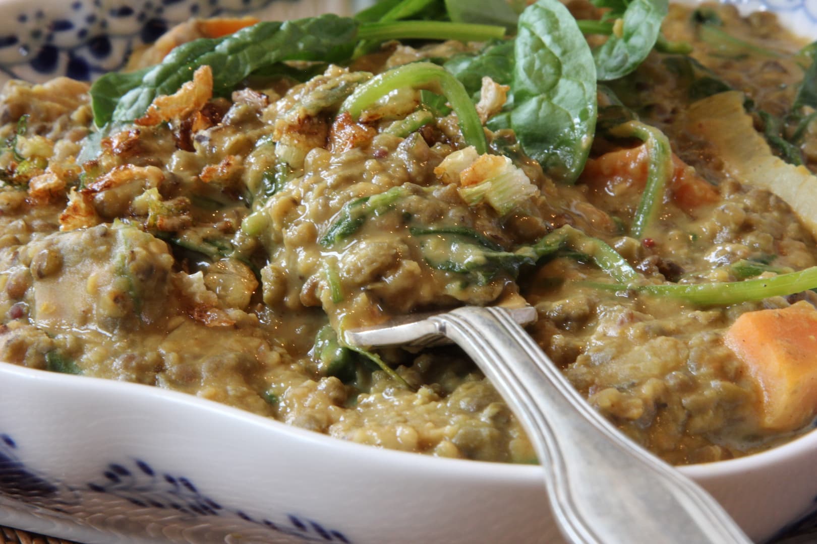 Mung dal kidchuri 20