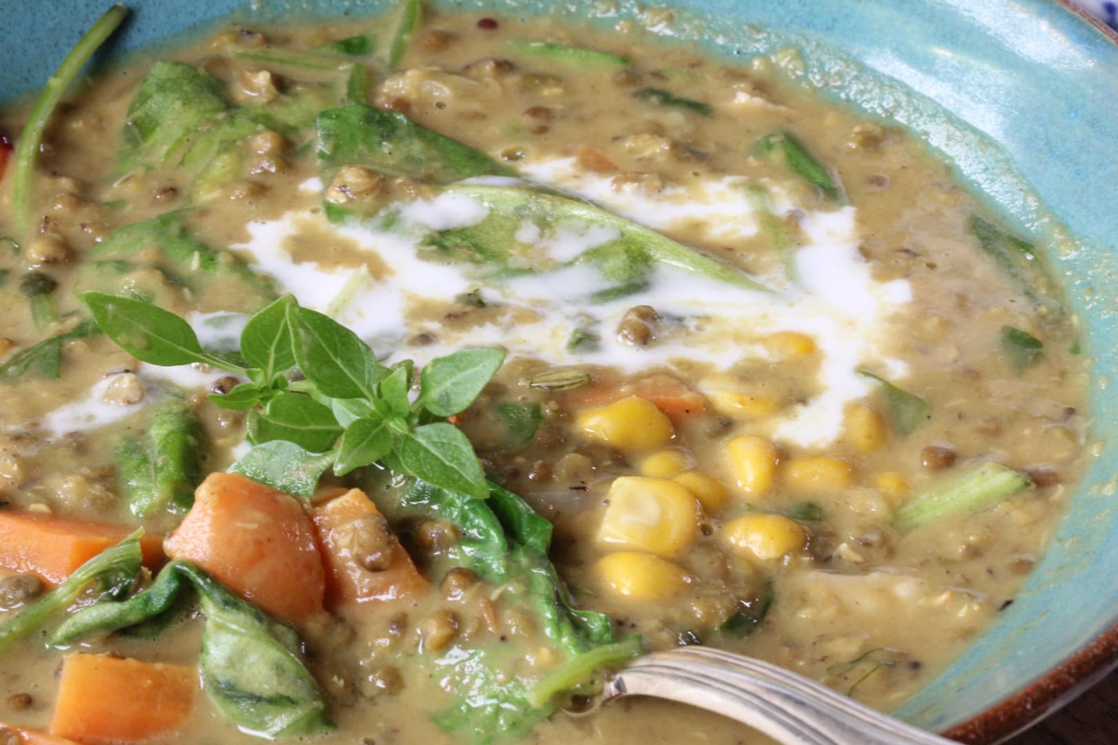 Mung dal kidchuri 25